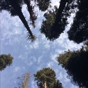 Meet your Posher, Lydia